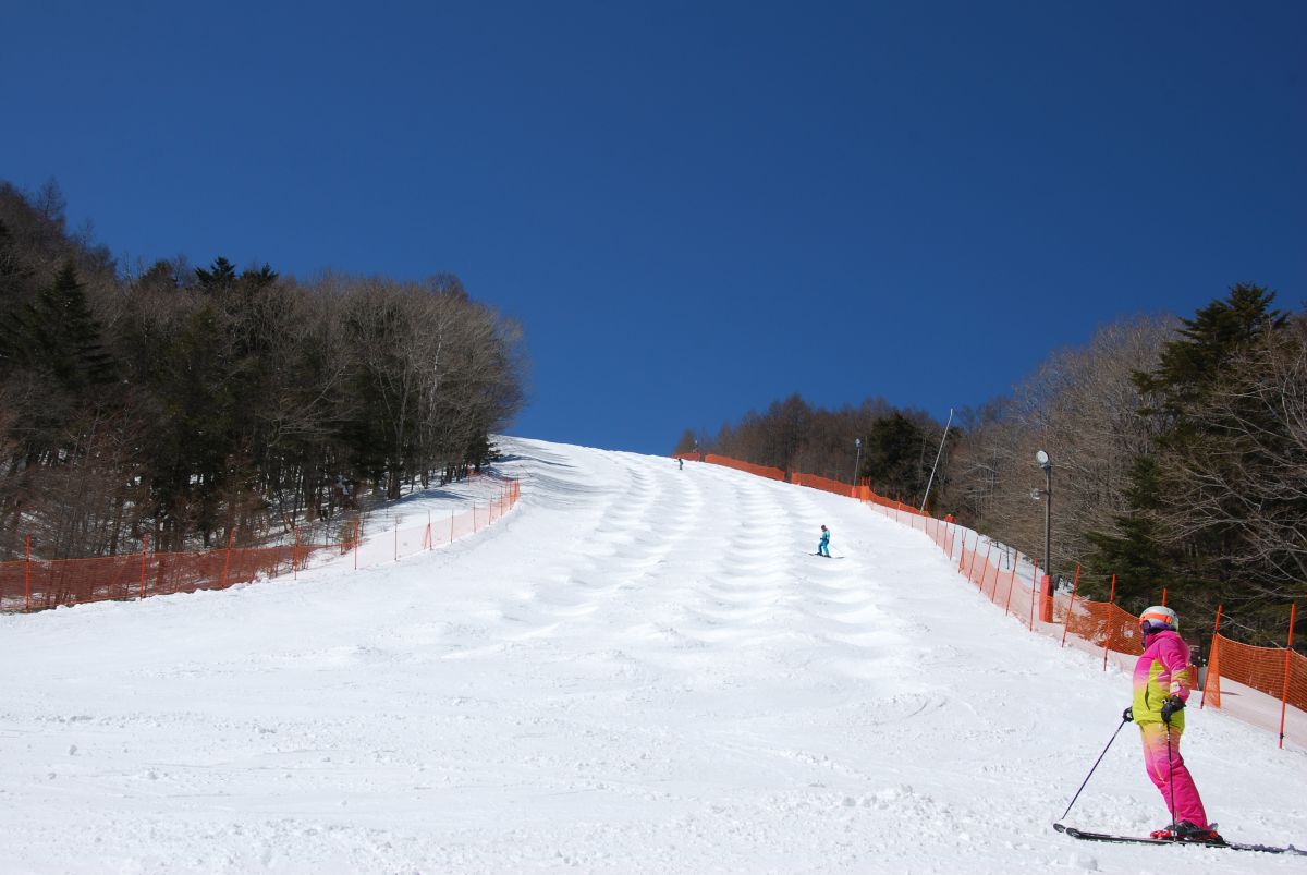 絶景ゲレンデ 富士見パノラマリゾート 総合スノー施設 スキー場 長野県富士見町 絶景ゲレンデ 富士見パノラマリゾート 総合スノー施設 スキー場 長野県富士見町