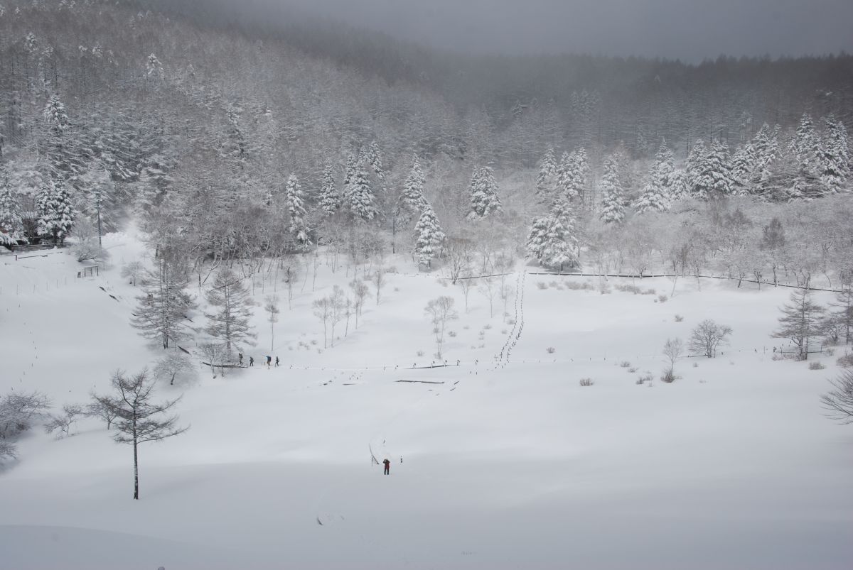 雪景色 富士見パノラマリゾート 総合スノー施設 スキー場 長野県富士見町