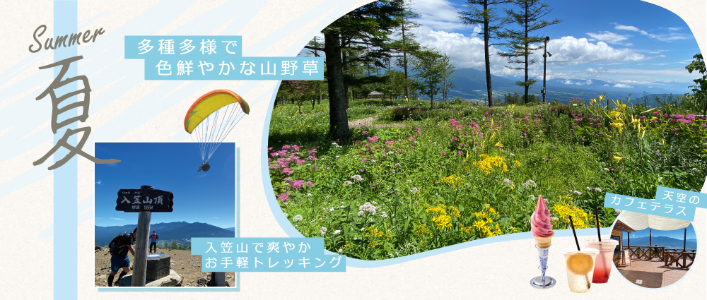 富士見パノラマリゾート グリーンシーズン 長野県富士見町 東京から90分 富士山と八ヶ岳を望む高原リゾート 富士見パノラマリゾート 長野県富士見町 富士見パノラマリゾート グリーンシーズン 長野県富士見町 東京から90分 富士山と八ヶ岳を望む高原リゾート 富士見パノラマリゾート 長野県富士見町