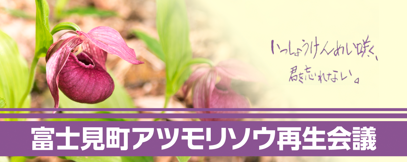 アツモリソウ