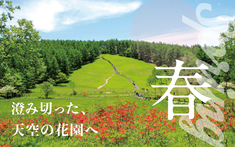 富士見パノラマリゾート 長野県富士見町 富士見パノラマリゾート 長野県富士見町